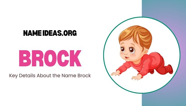 Brock Name Meaning: Origin, Popularity & Significance Image